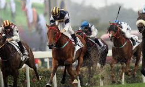 การวิเคราะห์ม้าก่อนเดิมพัน ufabet: เคล็ดลับสำคัญสู่ความสำเร็จในการแทงม้าออนไลน์