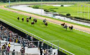 การเลือกสนามม้า ใน ufabet อย่างมืออาชีพ เพื่อเพิ่มโอกาสทำกำไร